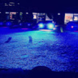 Meet your Posher, Samuel